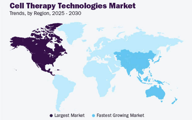 細(xì)胞治療技術(shù)市場(chǎng)增長(zhǎng)態(tài)勢(shì)強(qiáng)勁，實(shí)驗(yàn)室的液氮容器需求攀升
